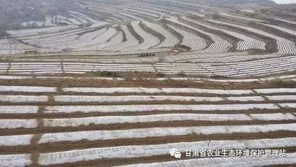 农用地膜新国标落地 0.010毫米厚度红线，遏制‘白色污染’再发力