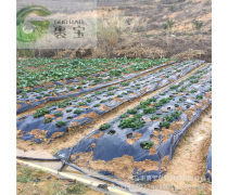 农用地膜产品库 品类特点与应用指南