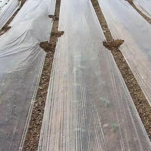 杜敏农用白色地膜 加厚设计为花生玉米种植保驾护航